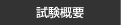 試験概要