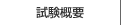 試験概要